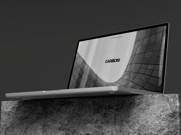 Project Pic 1